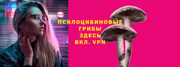 бошки Алексин
