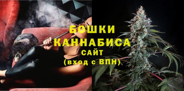 бошки Алексин
