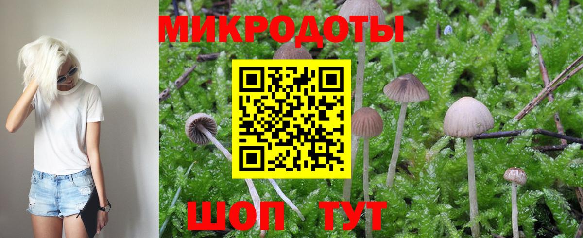 Соликамск  Псилоцибиновые грибы прущие грибы  Вход с VPN 